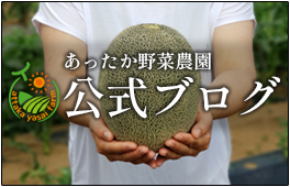 小松菜ほうれん草の効果栄養を画像で比較して成分や特徴を図解イラレブック