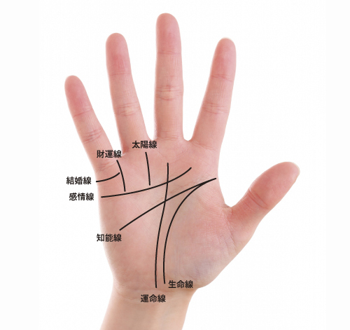手に仏様の目!?「仏眼」とは 手相占い- LOCARI ロカリ
