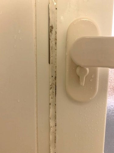 純閃堂 カビ取り侍 ジェルタイプ 200g カビ カビ取り お風呂 浴室 キッチンのパッキン ゴムパッキン タイル目地 窓のサッシ シーラントコーキングの黒カビに KZ-J200 : 純閃堂Yahoo!店 - 通販 - Yahoo!ショッピング