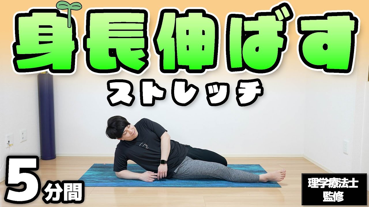 身長伸ばすトレーニング器具 高跳び ジャンプトレーニング器 タッチハイジャンプカウンター 跳ねる ホッピング 自宅 子供 キッズ 運動不足解消 身長伸: ブリッジブリッジ - 通販 - Yahoo!ショッピング