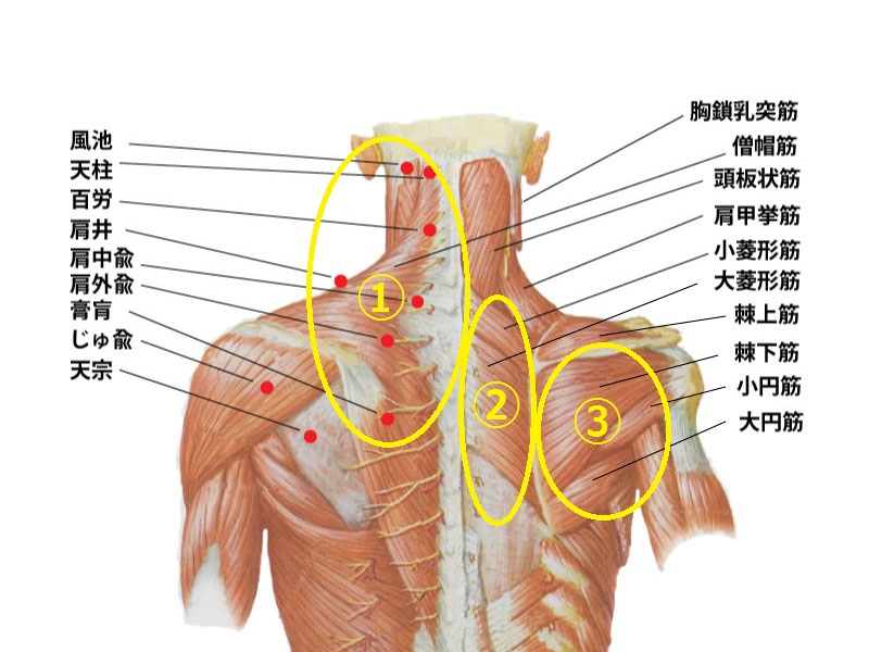 頭痛の原因と治し方 – 藤沢市の鍼灸院なら和へい堂