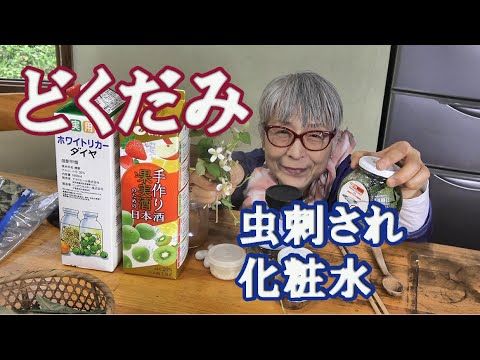 義母おススメ！ドクダミの花でできる自家製虫刺され薬をつくってみた！てのん 人ものがたり ウェブメディア