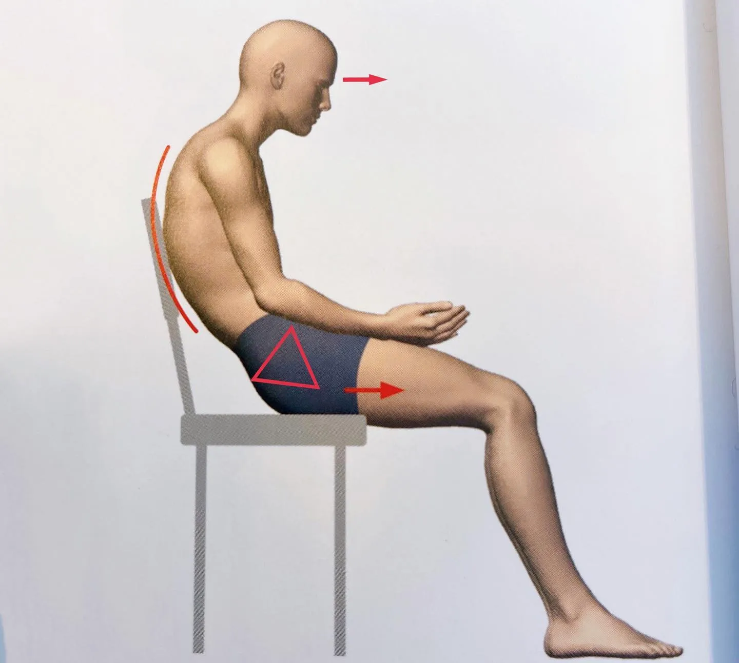 座ると腰が痛い原因は？理想の座り方と対処法広島市中区のトリガーポイント専門鍼灸院「なかいし鍼灸院」
