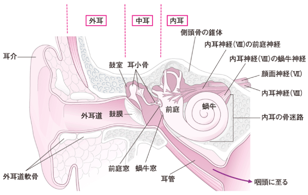 耳鳴り – 整体・鍼灸なら実績と信頼の「メディカルジャパン吉祥寺」