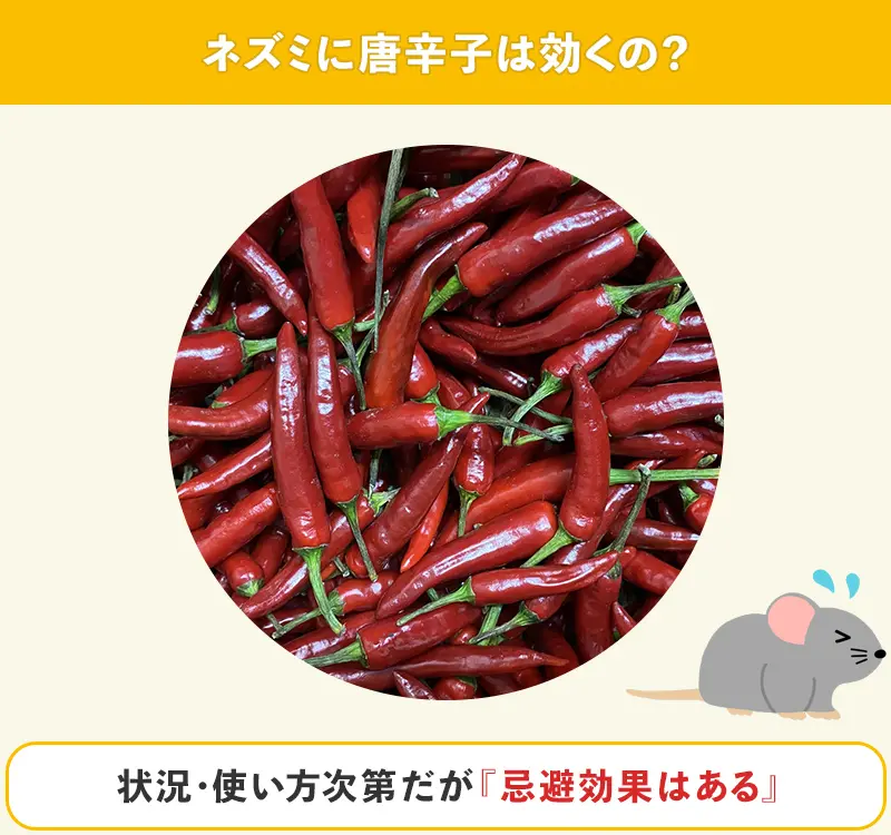 唐辛子スプレー のおすすめ人気ランキング - モノタロウ