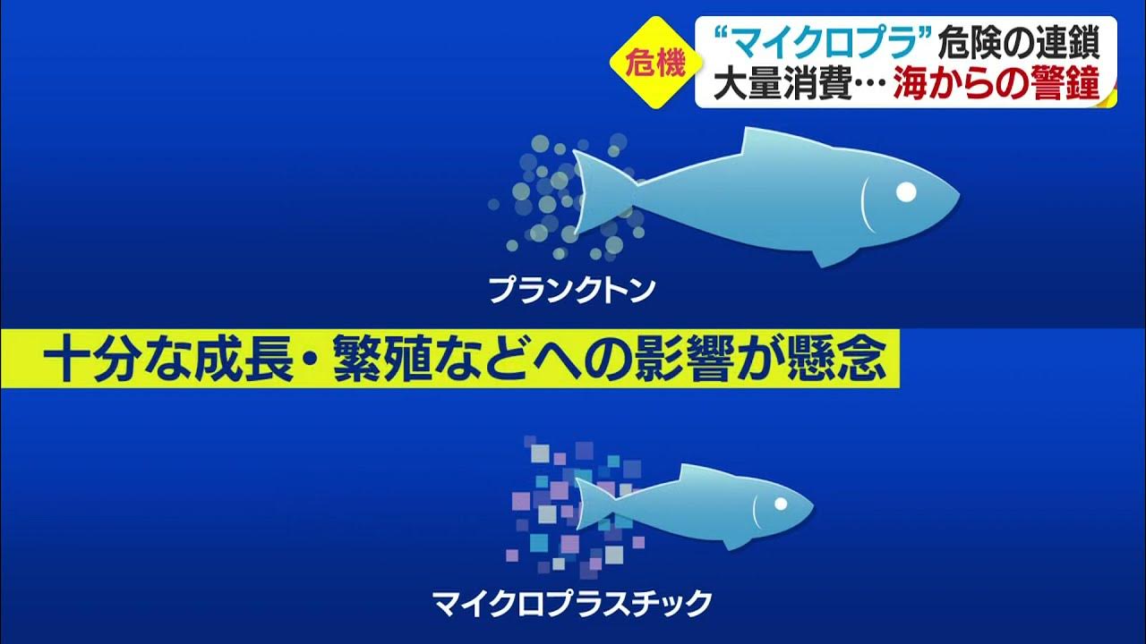 約30年後、海から魚がいなくなる!? イラストで分かる！「2048年問題」についてWEBマガジン HEAT