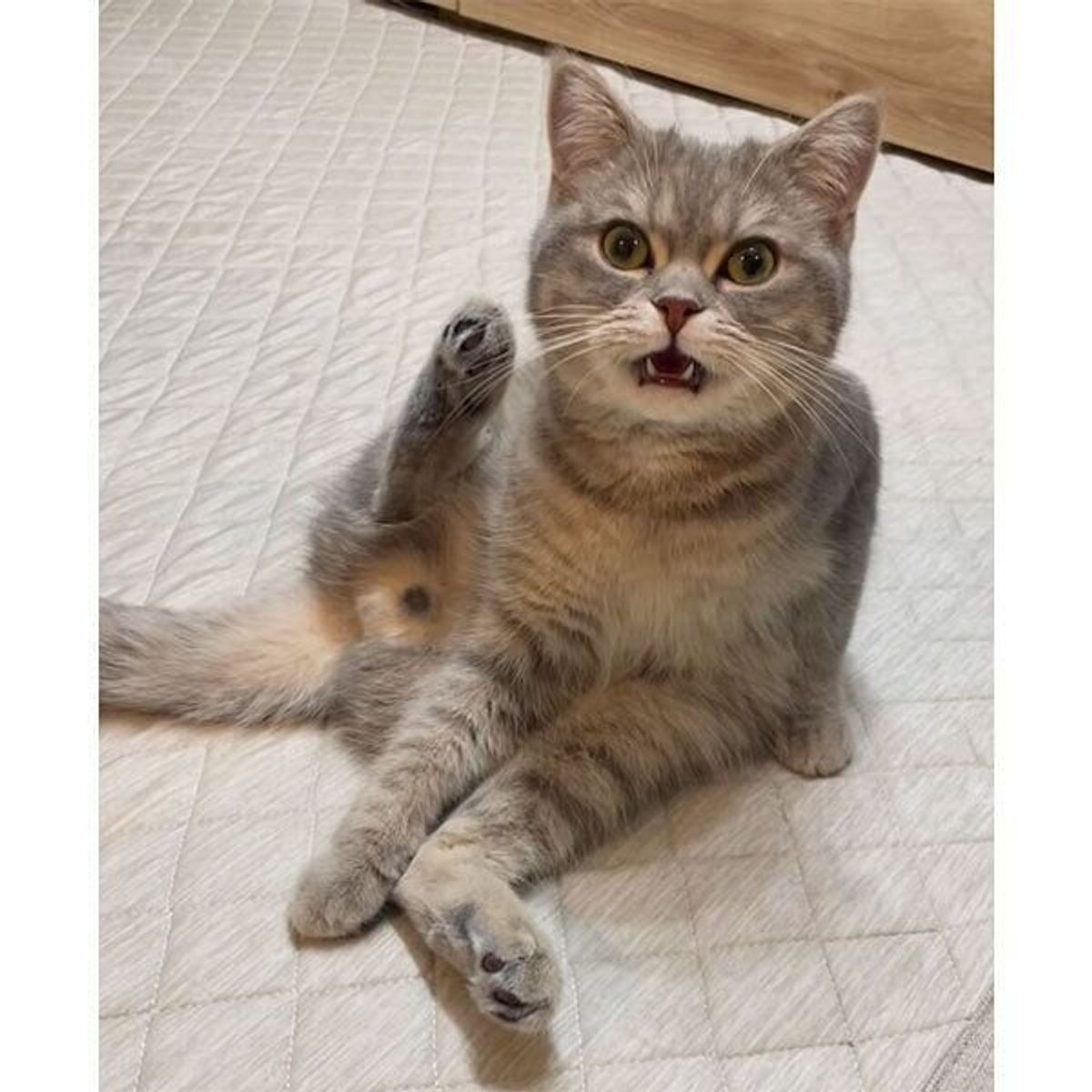 フォトアイユーサロン 愛YOUsalon ホットペッパービューティ