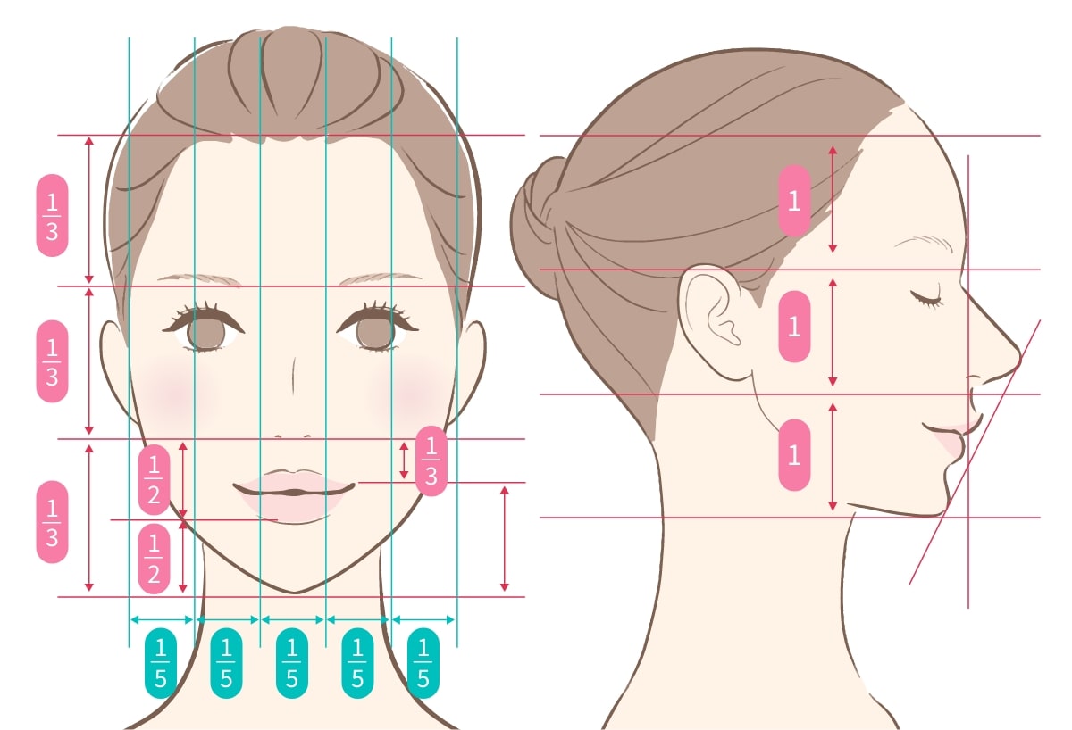 顔の黄金比率とは？医師が教える、美人顔の条件＆簡単チェック法美容知識コラムアラガン・エステティックス・ビューティ