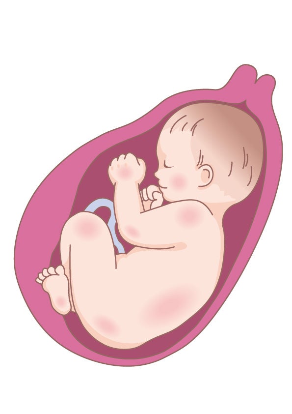 妊娠中のお腹の張り～注意点や対処法など漢方と鍼灸 株式会社誠心堂薬局