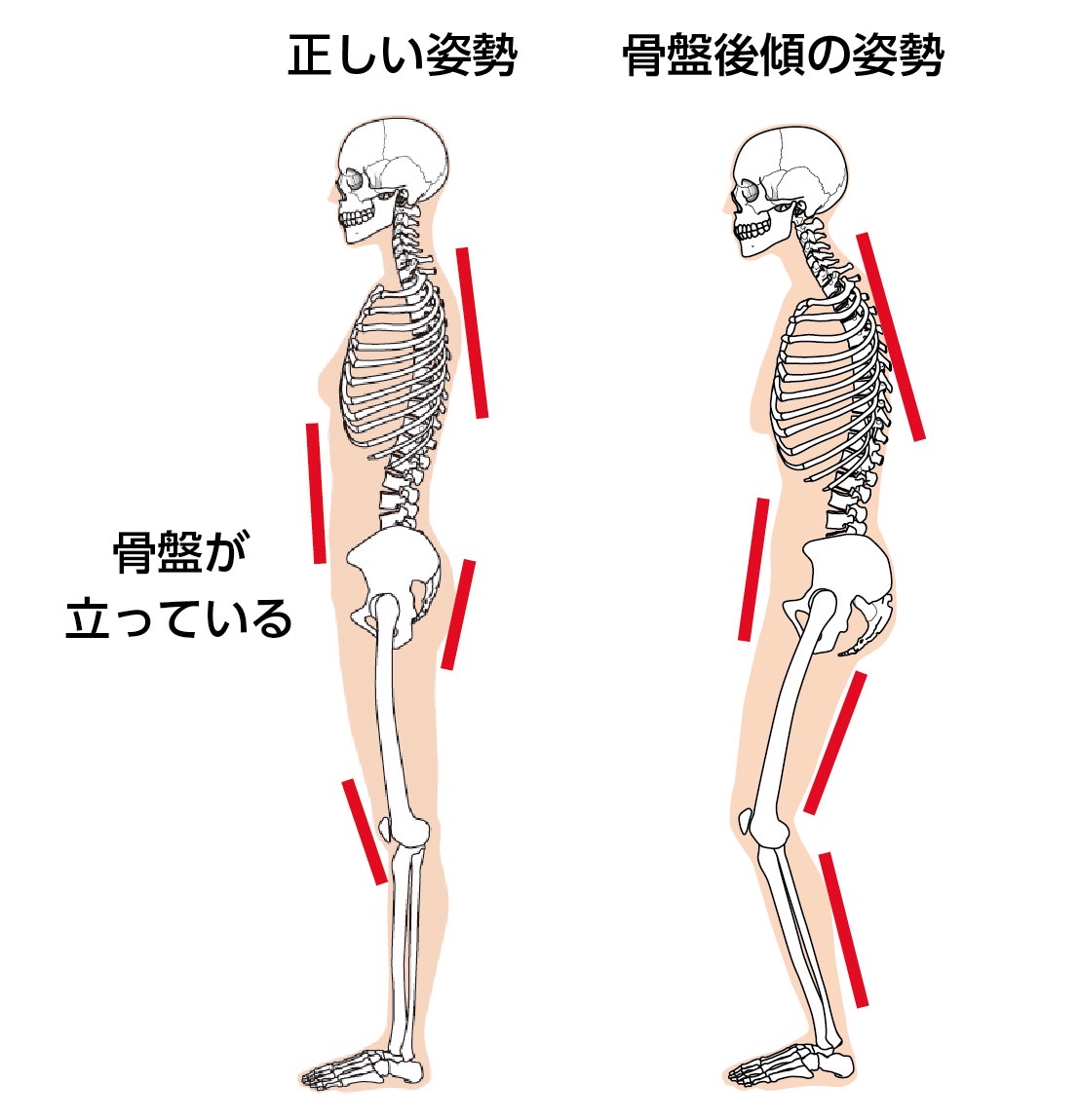 膝裏が痛い時は、どうしたらいい？コラム銀座ナチュラルタイム-銀座駅から徒歩1分の極上リンパマッサージ