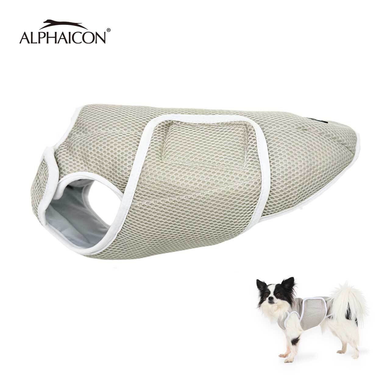 チルティー通信＊＊＊