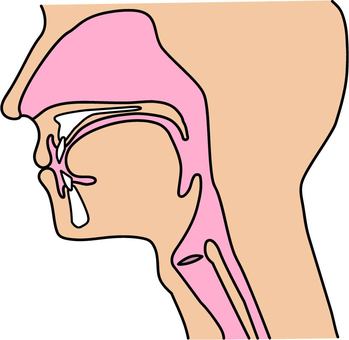 嚥下体操イラスト無料イラスト・フリー素材なら「イラストAC」