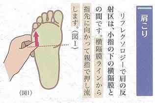 ツボとは違う？ 反射区とはコラムリラクゼーションサロン ルアンルアン
