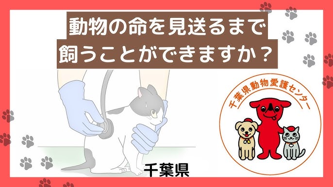 004 犬や猫の寿命は5000日 - YouTube