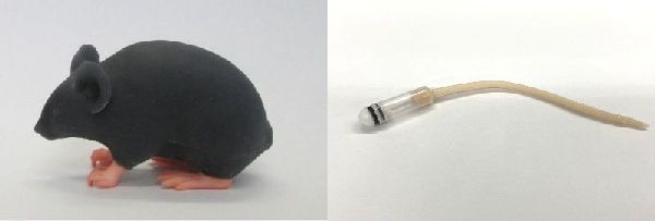 医学生の解剖実習、奈良医大が廃止 これまでマウスやヒヨコなどで実施「犬や猫ともっと幸せに」をコンセプトにしたWEBメディア「sippo」