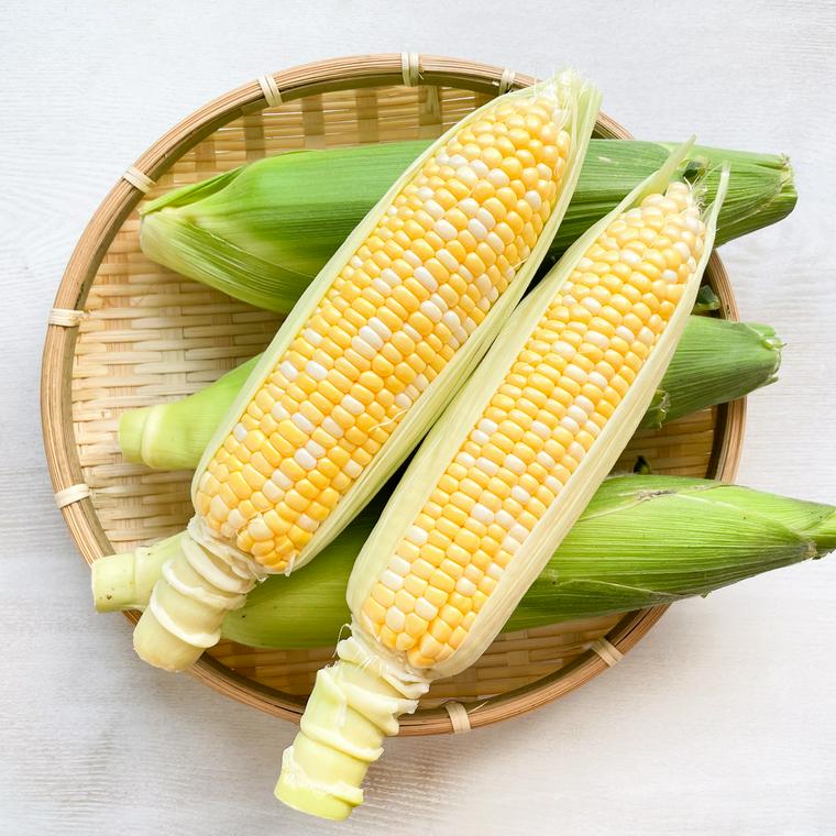 内外赤玉はら薬 12錠整腸剤 下痢 軟便 食あたり 置き薬 配置薬 富山 東亜薬品 第2類医薬品 : くすりと酵素酢の健康学園 - 通販 -Yahoo!ショッピング