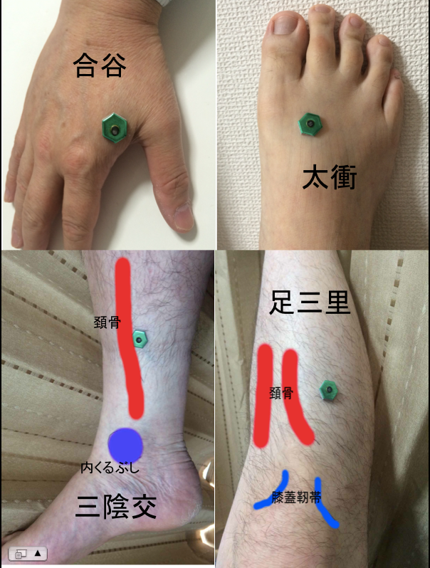 太谿 たいけい についてまとめてみた 堺市・富田林の整骨院グループたな骨グループ