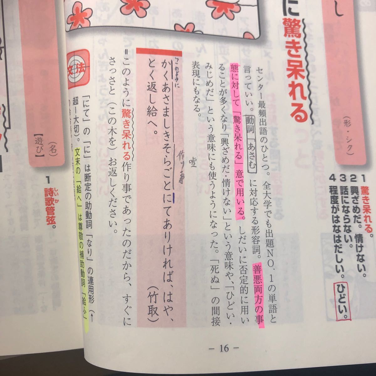 ゴロゴネットあさまし