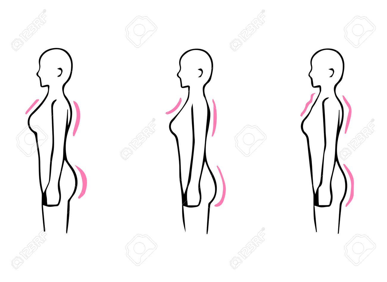 骨格診断横から見た3種類の体型イラスト 直波ナチュラル のイラスト素材・ベクター Image 164242041
