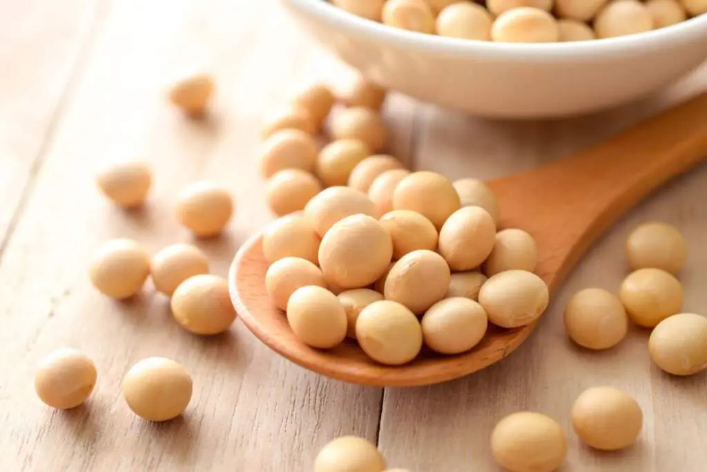 胃腸の調子が悪い時にも食べやすい「塩鶏じゃが」 豚肉や牛肉の代わりに脂質の少ない鶏もも肉で作りました。さらに鶏もも肉は皮なしを使うと、脂質をカットできます。じゃがいもや玉ねぎがくたくたになるくらいやわらかく煮ると、消化に優しくなりますよ。 ぜひ作って