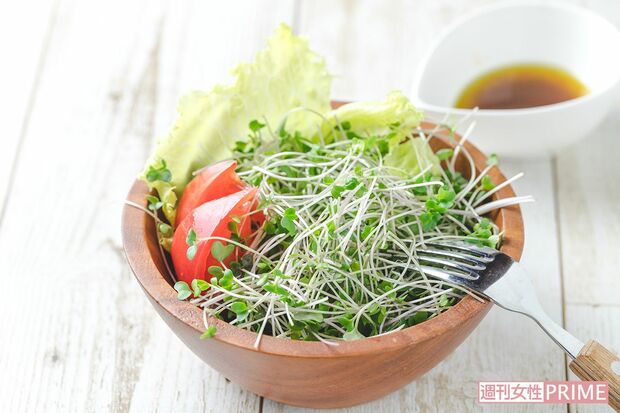 スプラウト」は種子のエネルギーが弾けた“栄養爆弾”