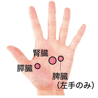 心とカラダのリラックス法: 12月 2010