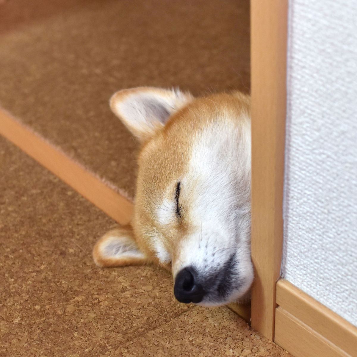 保温グッズ3選 長時間保温可能なタンブラー 水筒 、鍋、ポットをご紹介！ 温かい飲み物の持ち運びに便利！ -ハピキャンキャンプ・アウトドア情報メディア