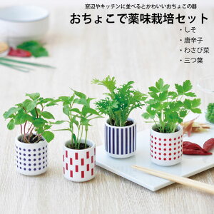 映画『うまれる』シリーズ