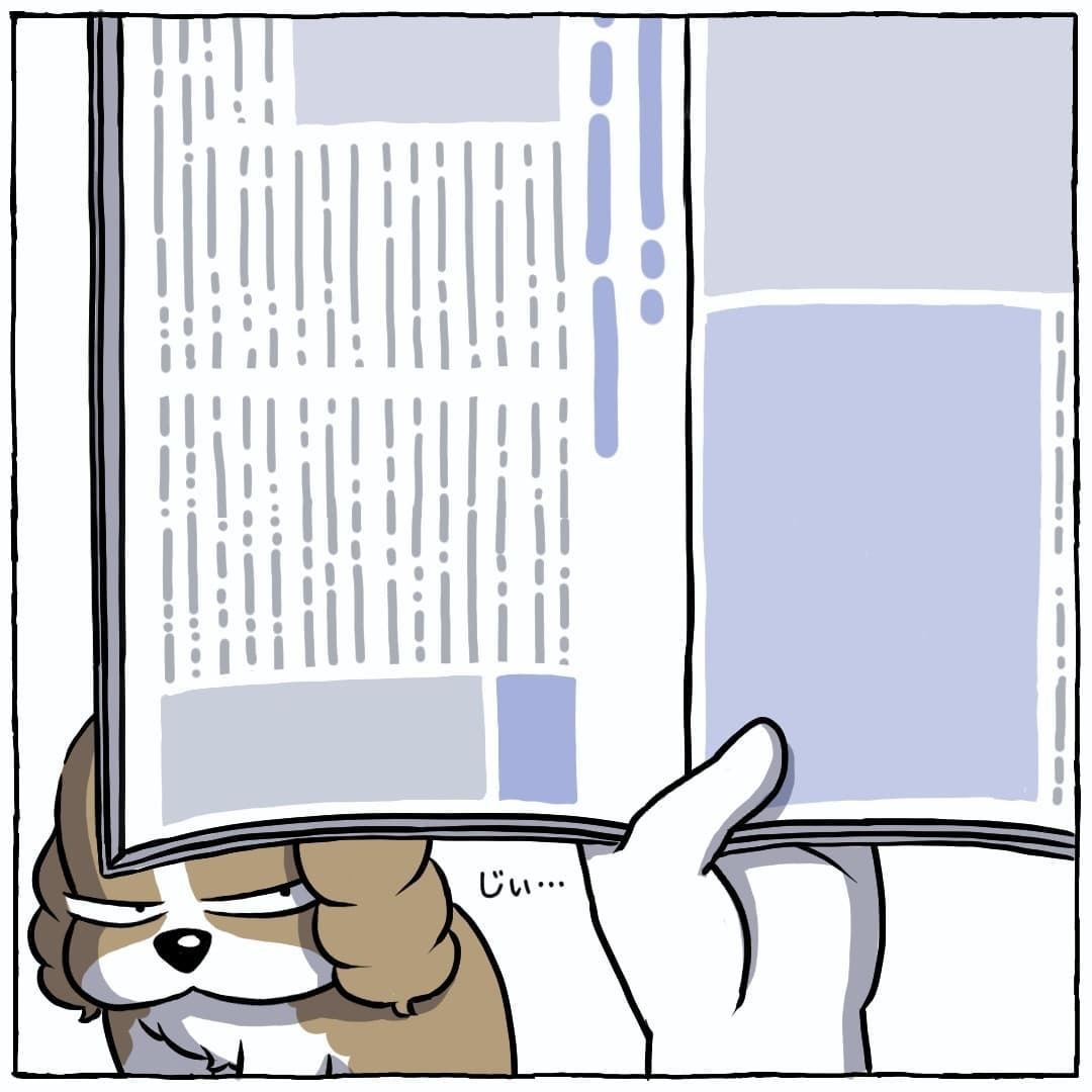 Prime Video: 最近雇ったメイドが怪しい