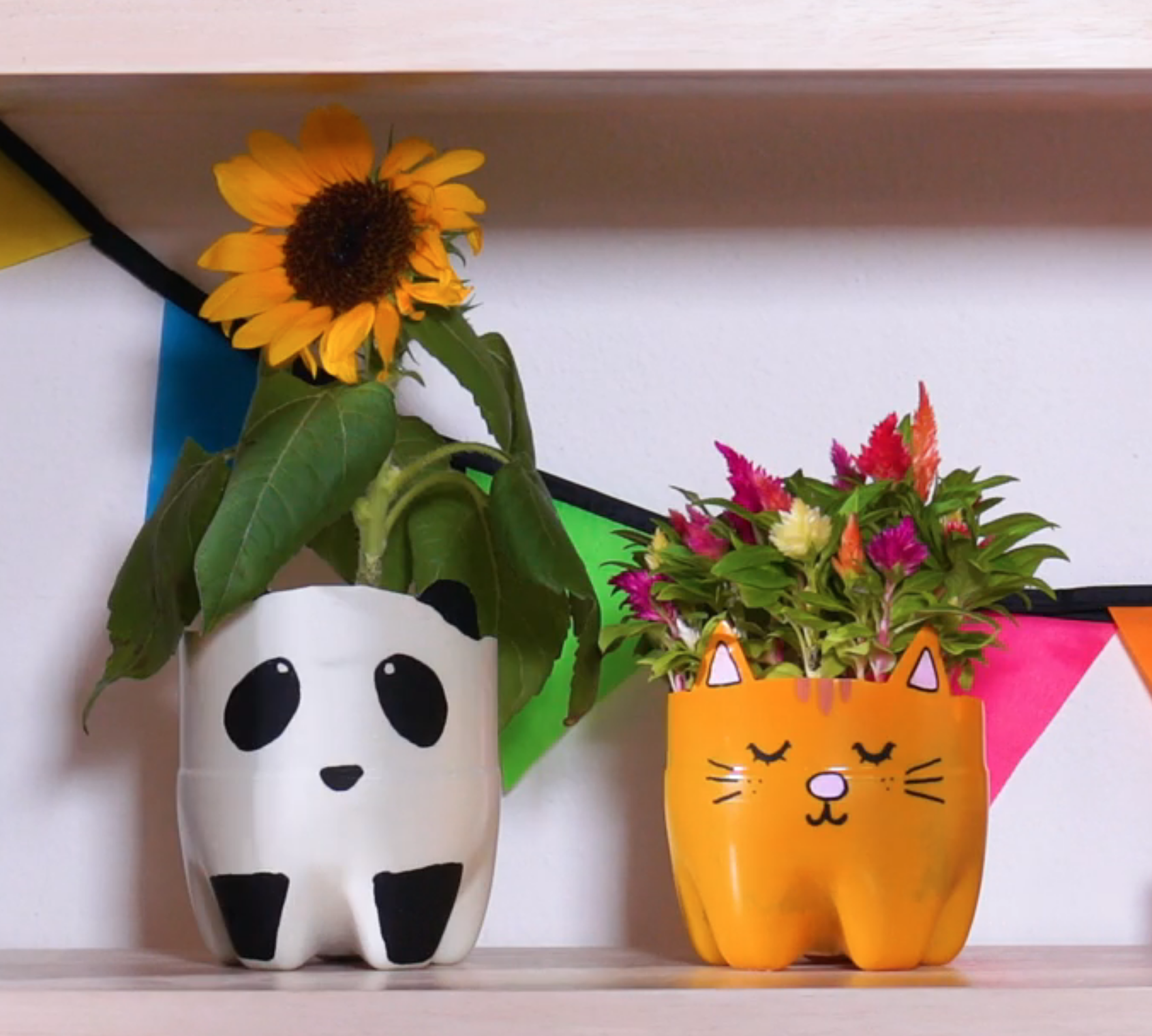 ペットボトルプランターの作り方分からないの声にお答えして急遽投稿つくりました🙋‍♂️✨,家庭菜園家庭菜園初心者野菜作り