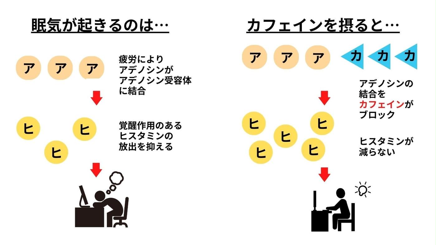 集中力UP!! 眠気覚ましに効果的なコーヒーの飲み方宅飲みコーヒ