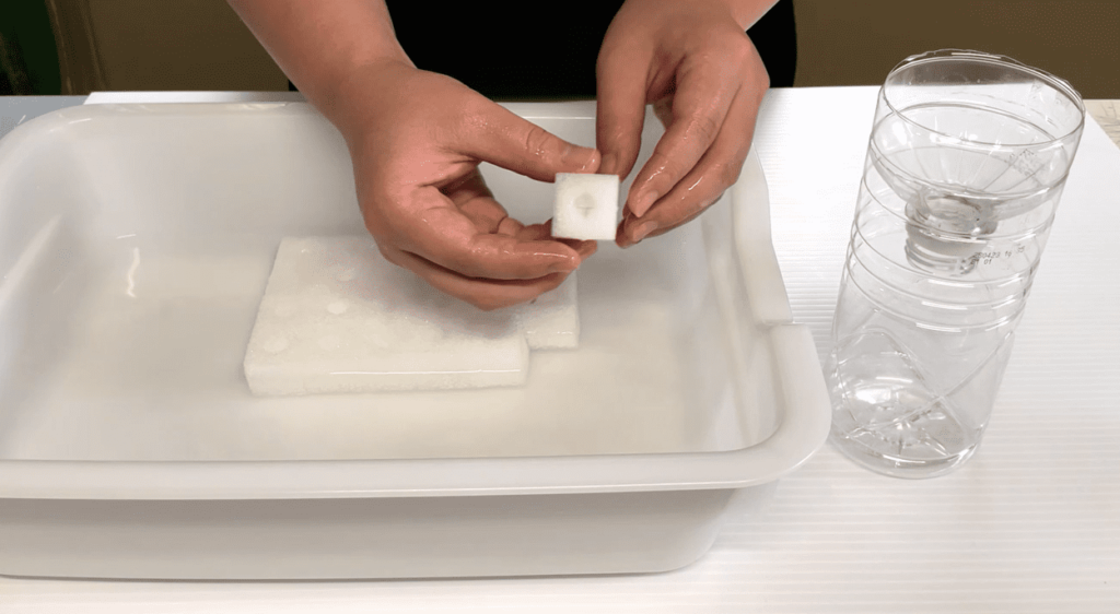 根の部分🙂 ペットボトル水耕栽培、ブッシュバジルの根。 根張りが良いものとそうでもないもの。 まぁまぁ差がありますね。 ここから大きくなると、水の吸い方が違ってきます。しかし、 現在どちらも病気が進行中😷 元に戻らないかもしれませんが。 大きくなっていくか