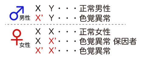 1型色覚の特徴について - Genspark