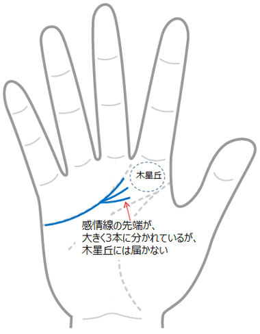 手相 感情線 枝分かれ 三本TikTok