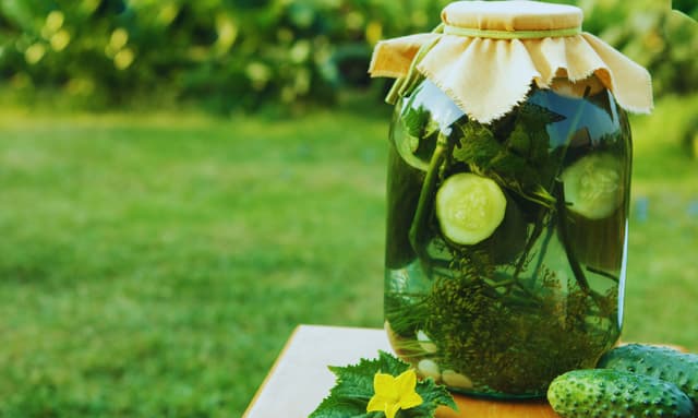 クラシコムの社員食堂 大きな茄子と、黄色いきゅうりと。 - 北欧、暮らしの道具店