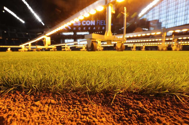 デジタル発＞日本ハム新球場「エスコンフィールド」 完成間近です：北海道新聞デジタル