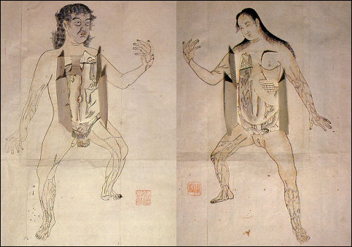 人体解剖図 Nouveau recueil d'ostéologie et de myologieantique Salon