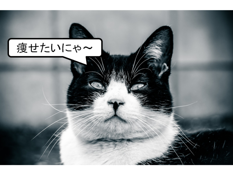 フィットネスYoutubeで全身の脂肪を燃やす！１週間で追い込むダイエットカレンダー DAY２ViVi