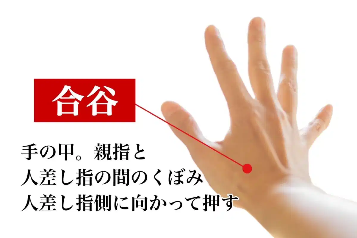 つらい片頭痛！ツボを使って毎日を楽に過ごそう！ - 漢方の知恵で、もっと健やかに美しく。Kampoful Life