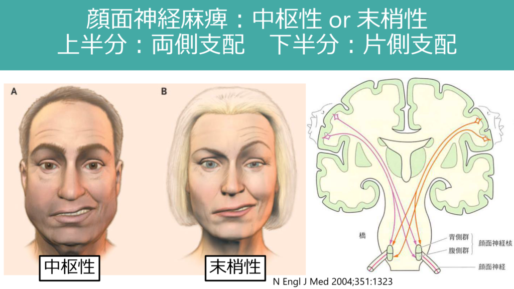 社会医療法人中央会 尼崎中央病院 - 尼崎市