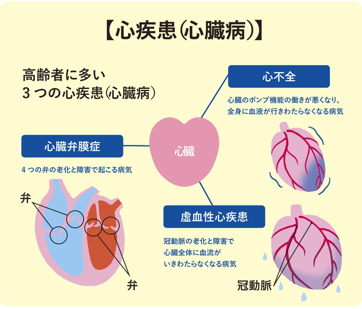 老人性白斑」の初期症状はご存知ですか？ 早期発見のポイントを併せて医師が解説メディカルドック
