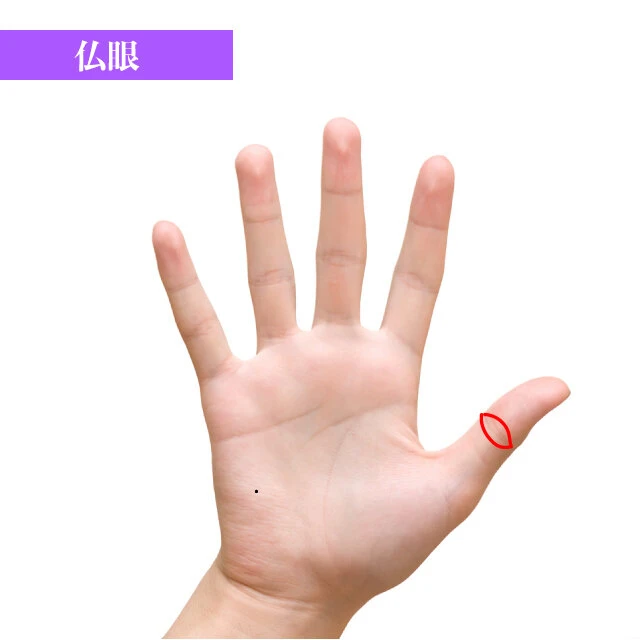 手相占いbot on X: 