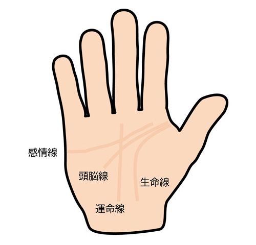 手相が薄い人の特徴は？意味や性格、対処法について解説！日本占い師協会 JFTA