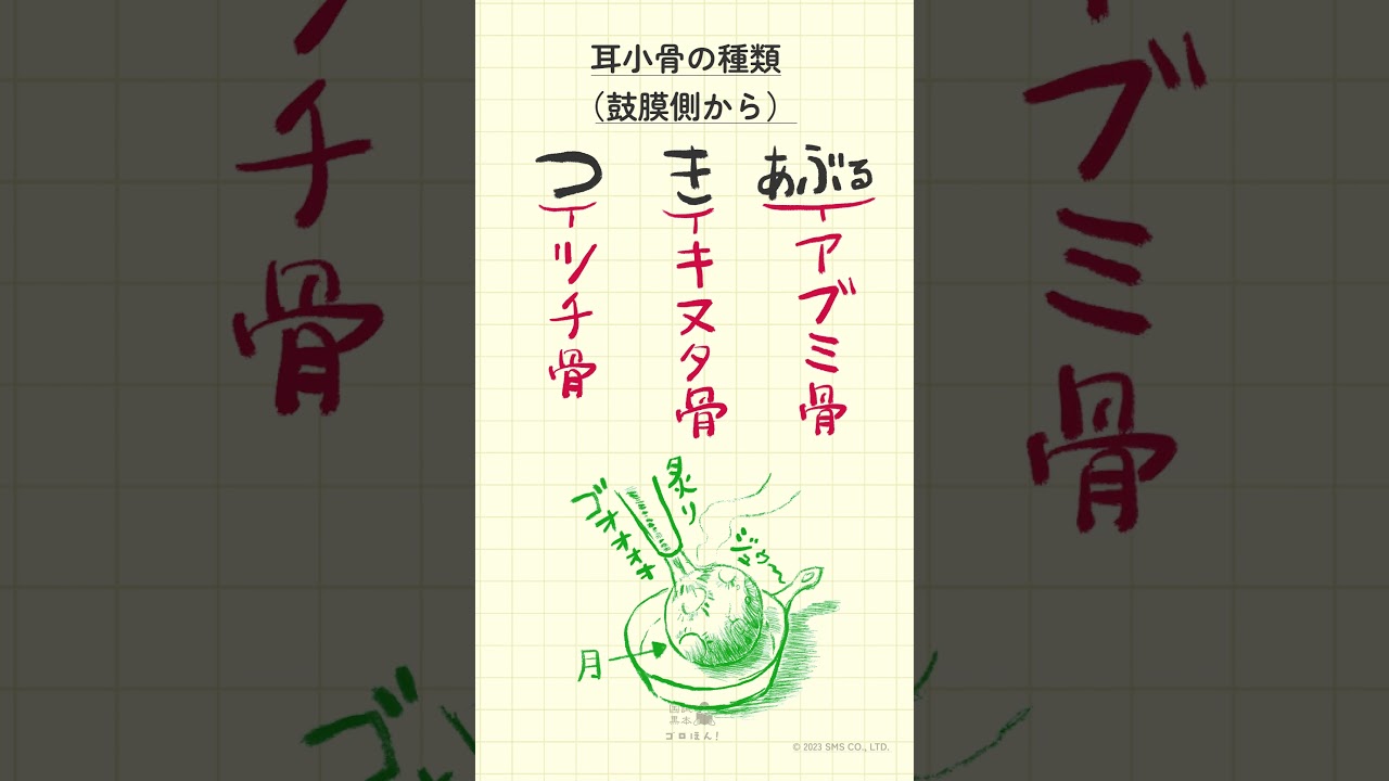 耳の病気北山田駅から徒歩10分、丁寧な診療と分かりやすい説明の都筑耳鼻咽喉科クリニック
