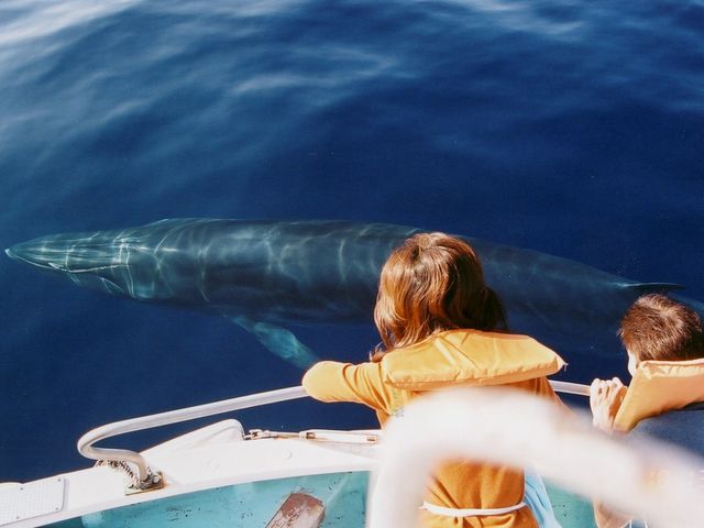 奄美大島・南部 ホエールスイム1日コース＜参加条件あり＞～冬季限定～ゼログラヴィティ 清水ヴィラ - じゃらん遊び体験