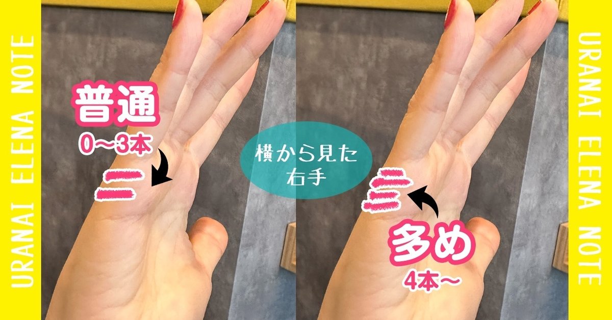 手相 ２ 手首線北新地ママ日記