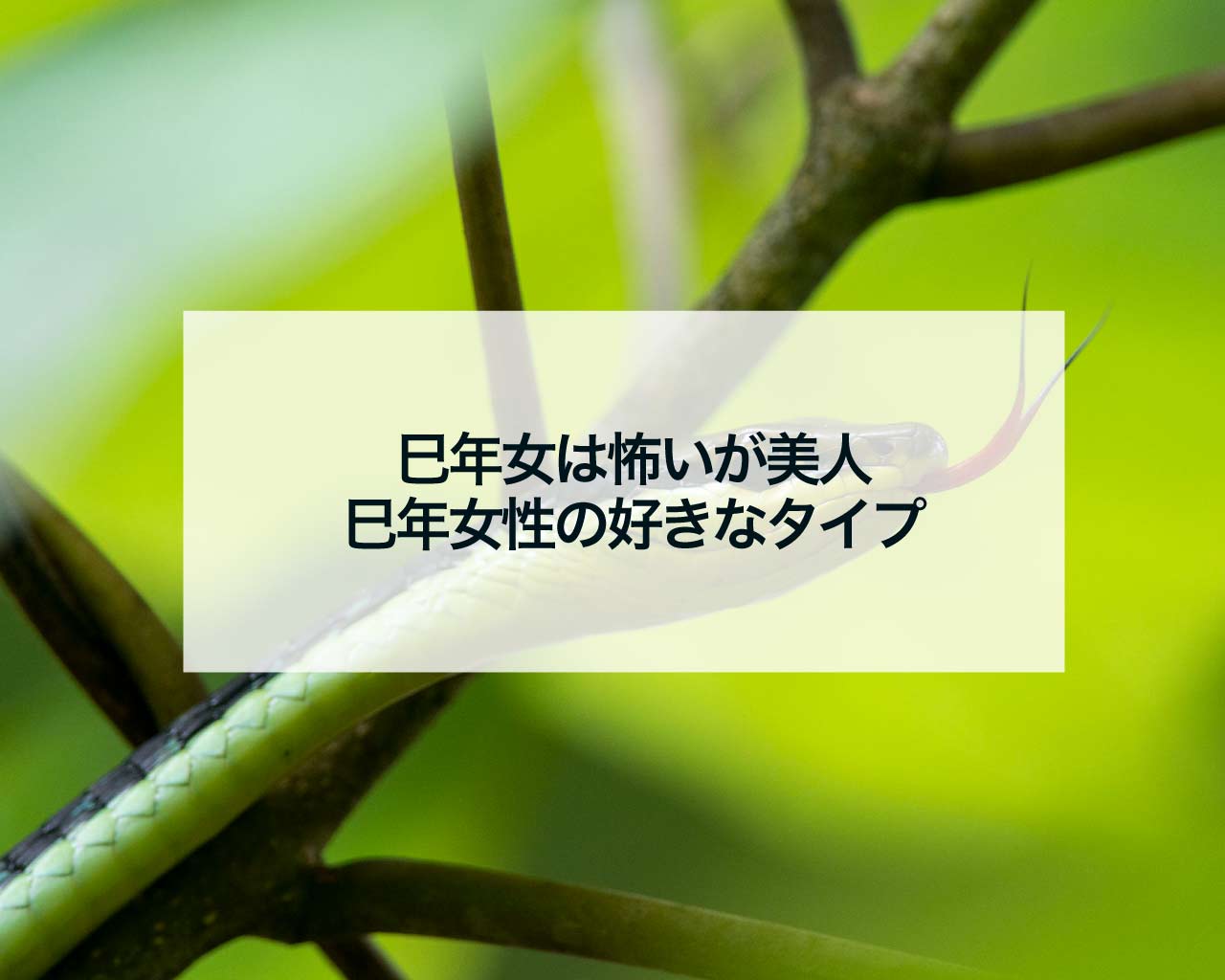 巳年の女性は怖い・性格悪い？特徴＆怒らせてはいけない理由