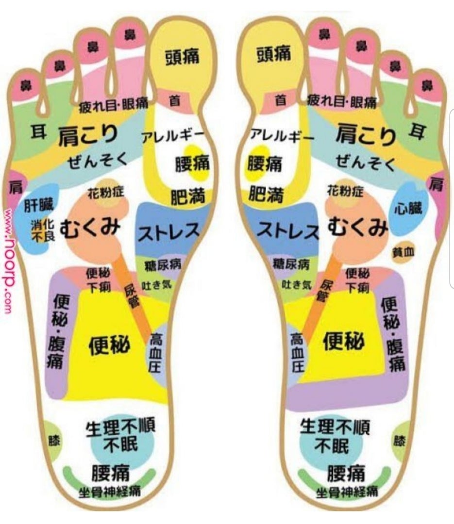 足裏のツボは知られているが意外に知れていない足つぼの側面の重要なポイント。日本足ツボ協会