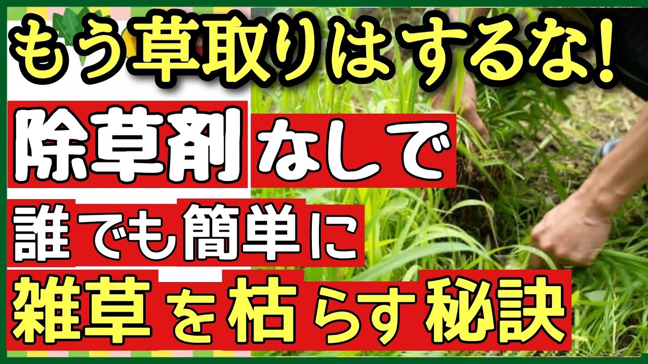 庭のお手入れに『除草剤』は使いません！ 対処法に「こんな簡単だなんて」 – grapeグレイプ