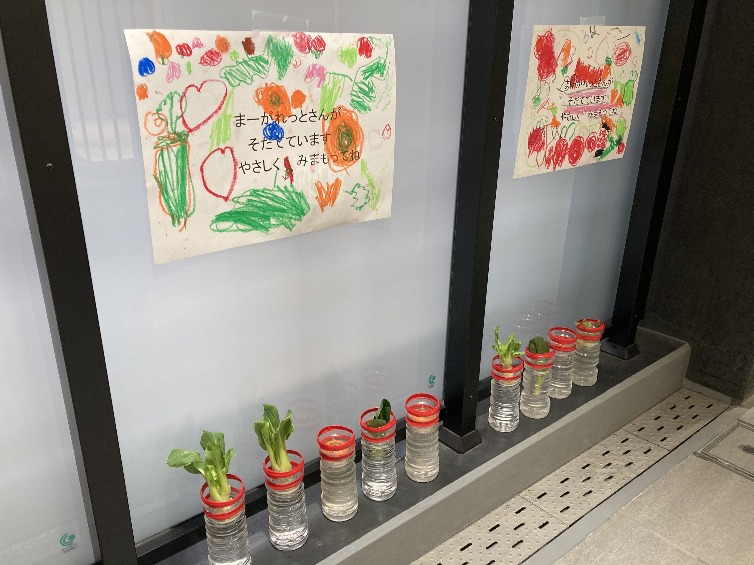 社会福祉法人 みどりの風 ぎんのすず保育園